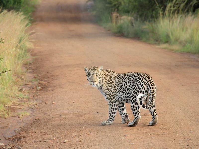 费米悖论<br>qyo4ufag.cn 大过滤器猜想